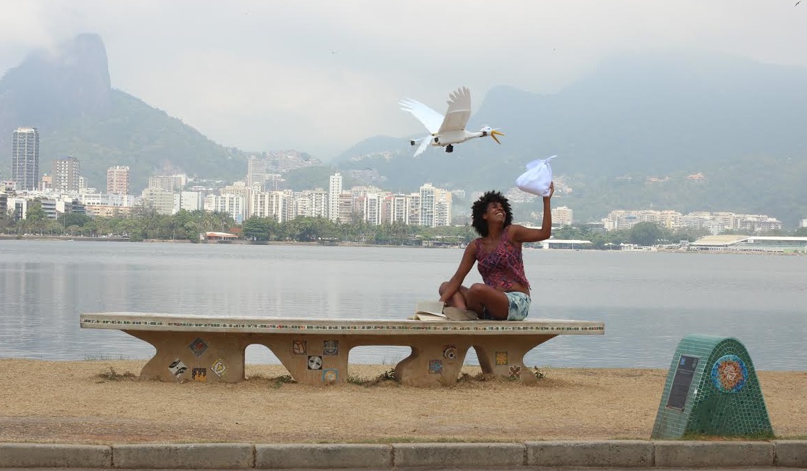 Cegonha invade o céu do Rio de Janeiro em ação de Dove