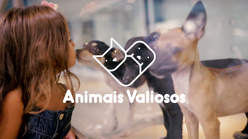 Projeto da NBS troca animais à venda em pet shops por animais para adoção
