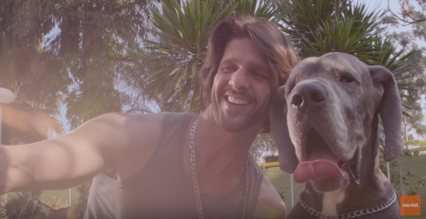Nextel destaca semelhança entre cachorros e seus donos em nova campanha