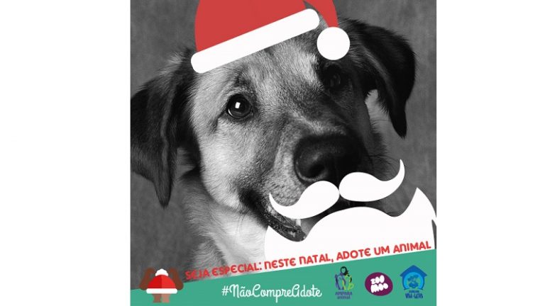 Canal ZooMoo incentiva adoção de animais no Natal