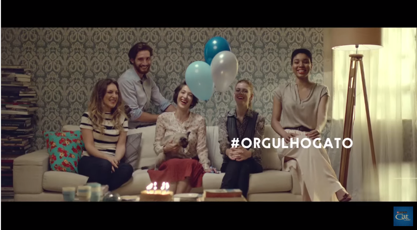 Purina Cat Chow homenageia “gateiras” e “gateiros” com o filme #orgulhogato