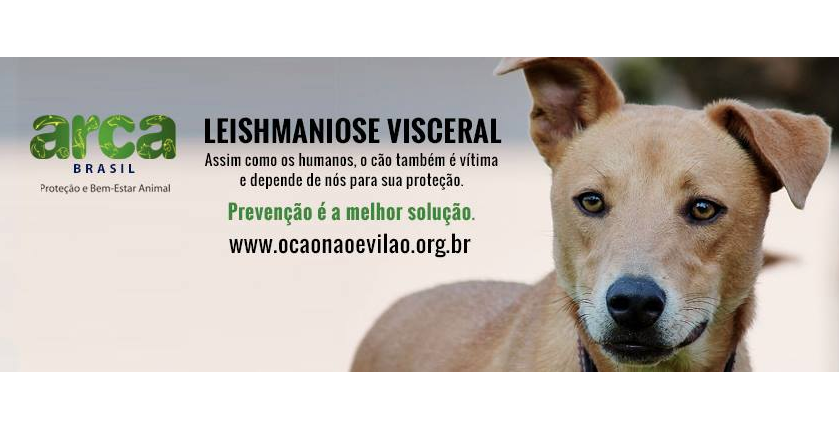 Bayer e Arca Brasil lançam campanha sobre Leishmaniose Visceral