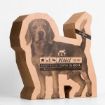 dog-beagle