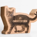 gato-MainCoon