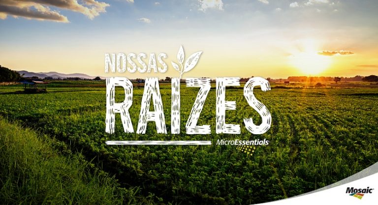 Innova cria série “Nossas Raízes” para Mosaic Fertilizantes
