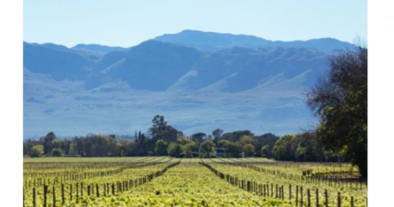Distell e Be Happy Viagens se unem para lançar primeira Rota dos Vinhos da África do Sul
