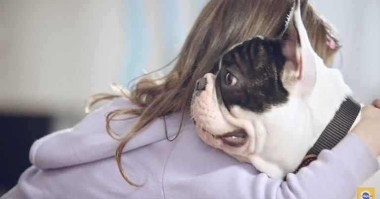 Pets que aproximam pessoas é tema da nova campanha de Pedigree