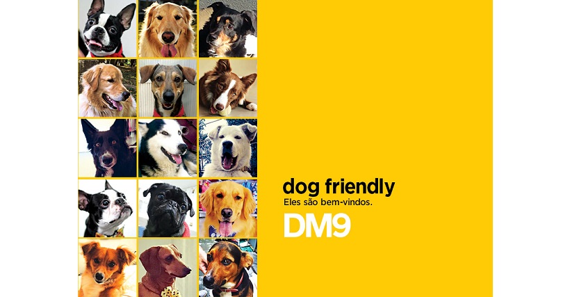 DM9 libera a entrada de animais de estimação na agência