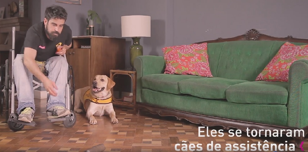 Eukanuba apresenta 1º episódio da websérie “Cães Extraordinários”