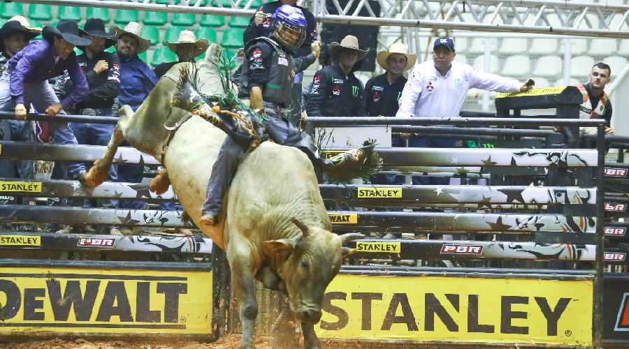 Dewalt e Stanley anunciam parceria com a Professional Bull Riders