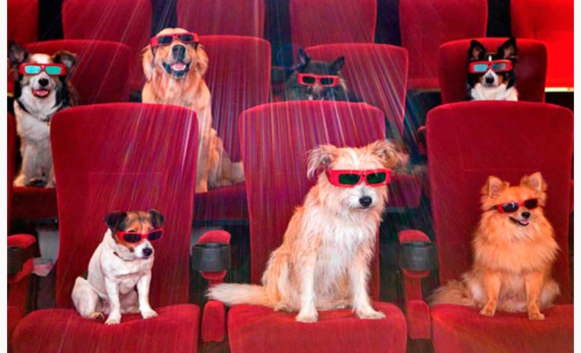 Nestlé Purina promove primeira sessão de cinema Pet Friendly