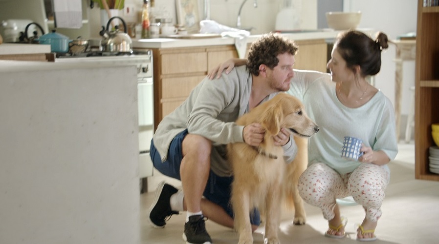 Campanha de Pedigree reforça benefícios da relação entre homens e cães
