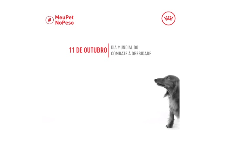 Royal Canin apresenta campanha “Meu Pet no peso”