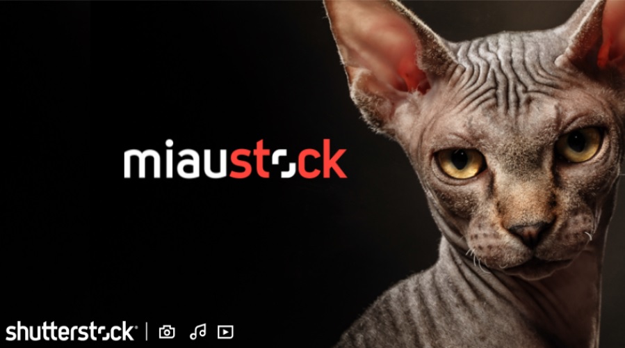 Nova campanha da  Shutterstock busca inspirar o mundo com imagens