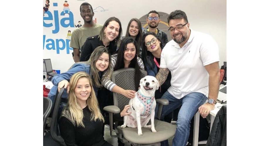 Wappa traz adestradores de animais a escritório em dia que reúne colaboradores e seus pets
