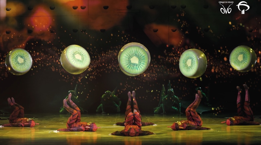 Bradesco promove imersão no Cirque du Soleil em campanha integrada