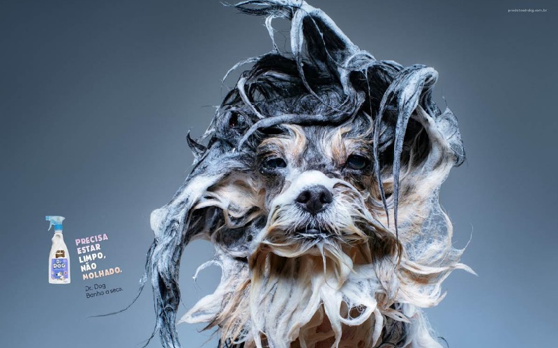 Em nova campanha, Dr. Dog promove shampoo seco para pets