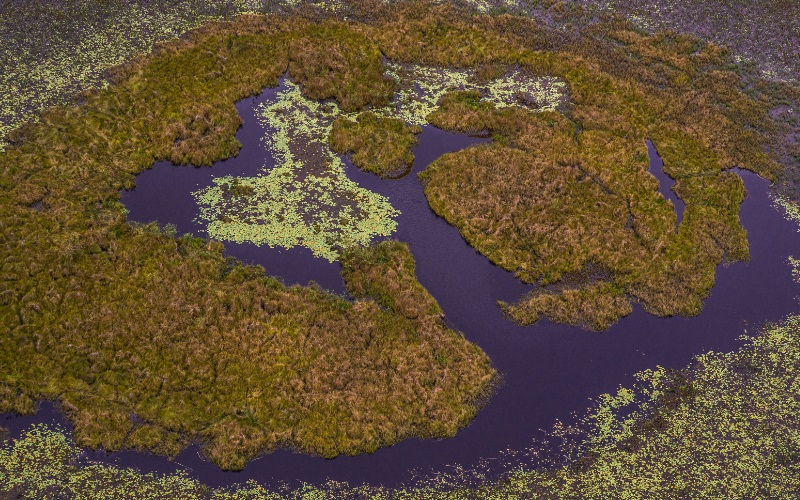 “Documenta Pantanal’ coloca a região em evidência