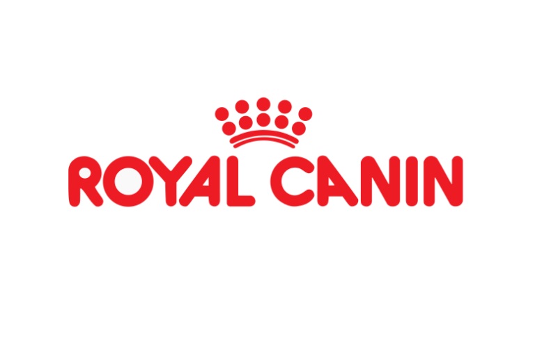 Royal Canin promove Casa do Gato em São Paulo