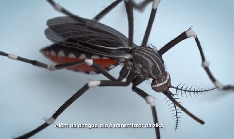 Binder cria campanha contra a dengue para o Governo do Distrito Federal