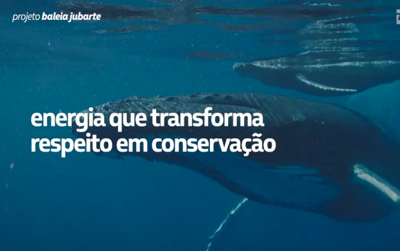 Petrobras lança campanha pelo Dia Mundial do Meio Ambiente