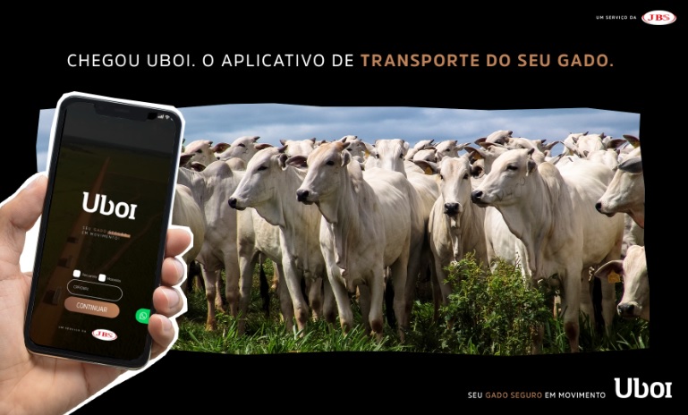JBS lança o Uboi: aplicativo de transporte de gado 