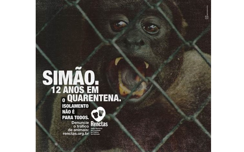 Agência SALA lança campanha para RENCTAS 