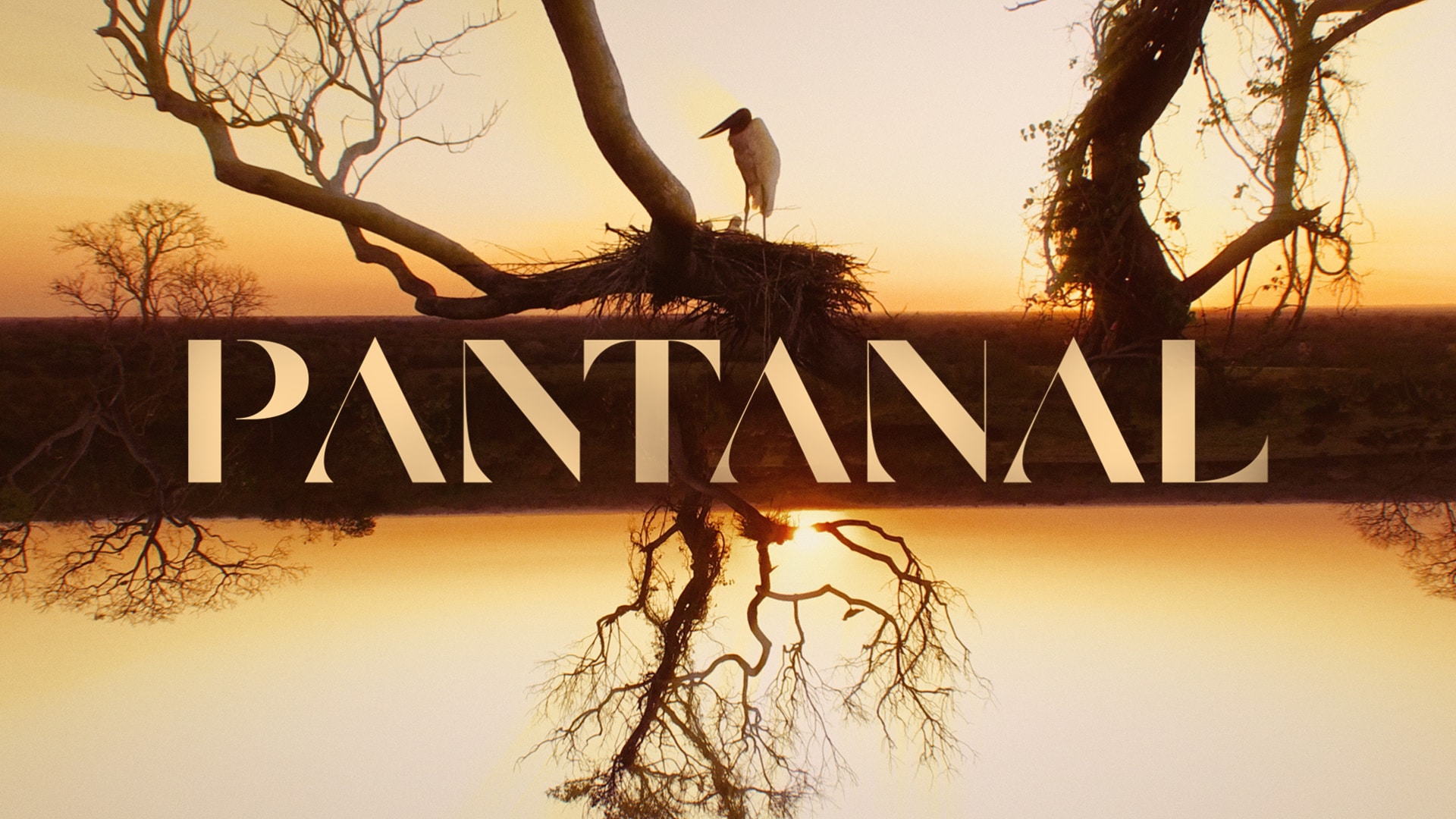 Vivo digitaliza a rotina dos personagens de ‘Pantanal’