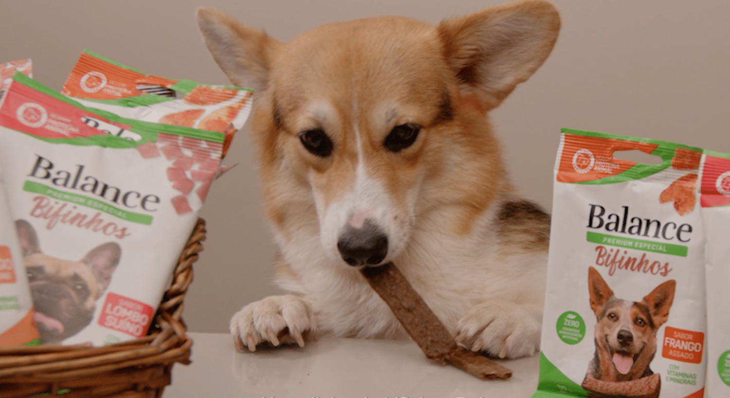 Balance lança nova campanha de Bifinhos saudáveis para cães