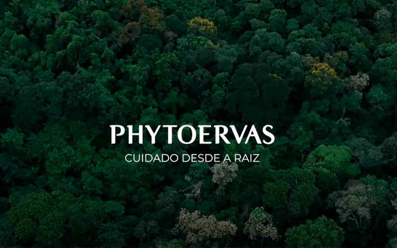 Phytoervas apresenta novo manifesto em respeito a natureza: “Ame suas raízes”