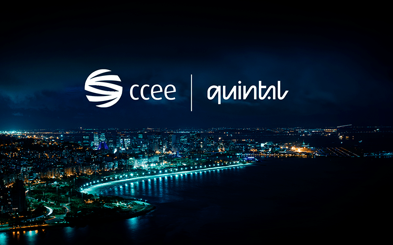 Quintal é a nova agência de comunicação e publicidade da CCEE