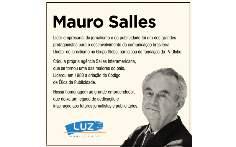 Mauro Salles, Líder empresarial do jornalismo e da publicidade