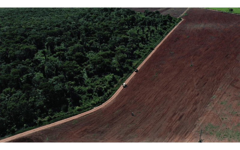 Tintas Coral leva conscientização sobre Floresta Amazônica à população