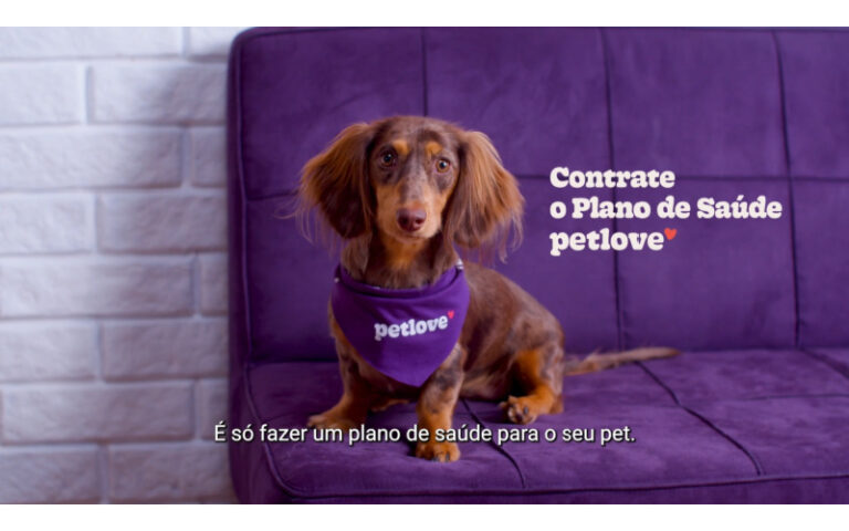 Petlove celebra 280 mil vidas nos planos de saúde para cães