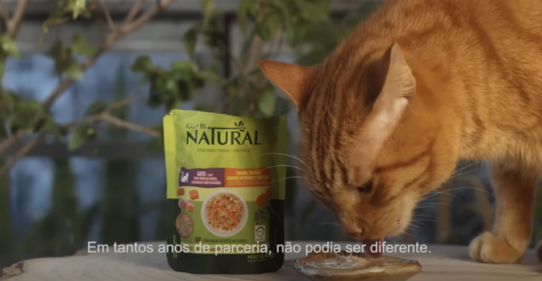 Guabi Natural, da BRF Pet, lança campanha de 20 anos da marca 