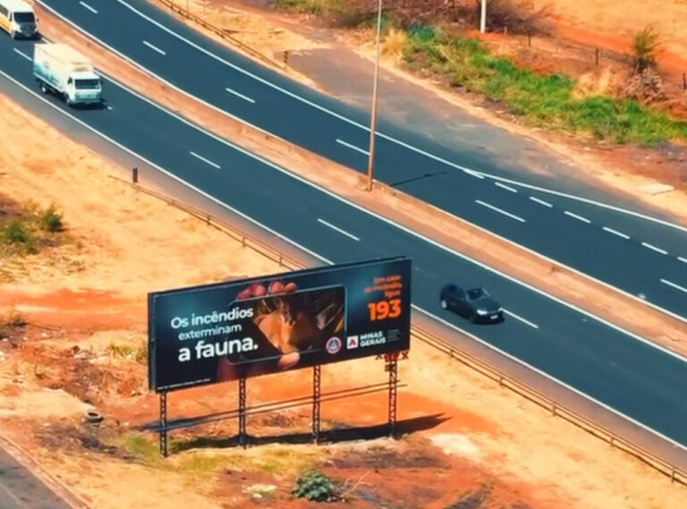 VEX está presente rm todos os caminhos