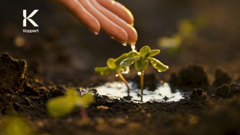 Koppert Brasil lança campanha com foco em inovação