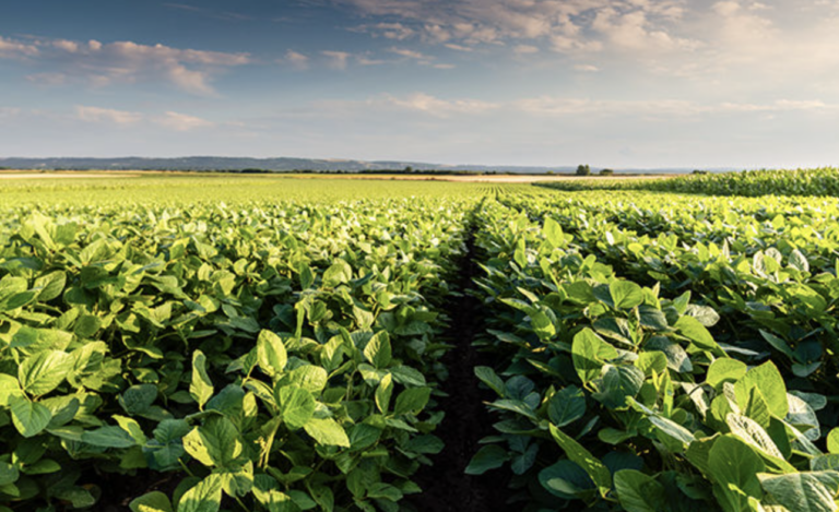 Jones conquista divisão de agronegócio da Bayer