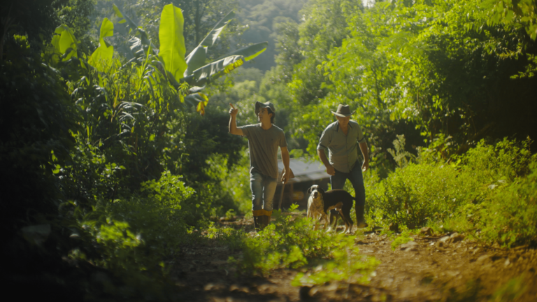 Banco do Brasil apresenta resultados de 2024 em campanha