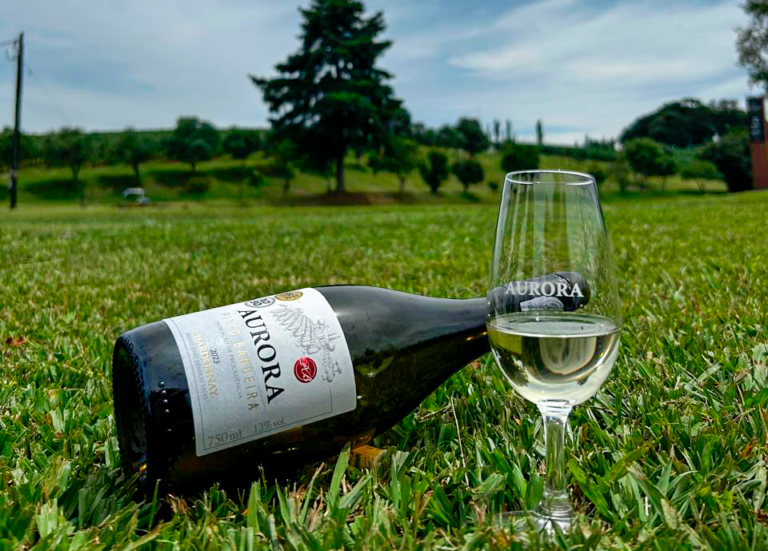 Consumo de vinho aumenta entre brasileiros