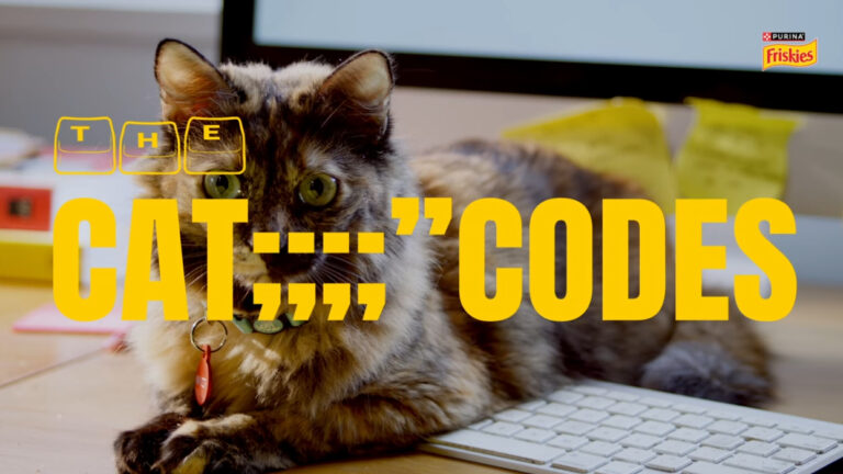 Friskies lança “Cat Codes” com gatos digitadores