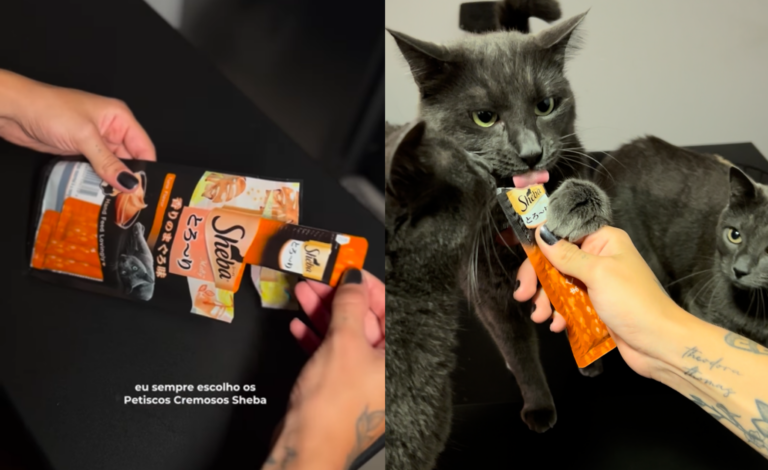 Sheba traz linha Petiscos Cremosos ao Brasil