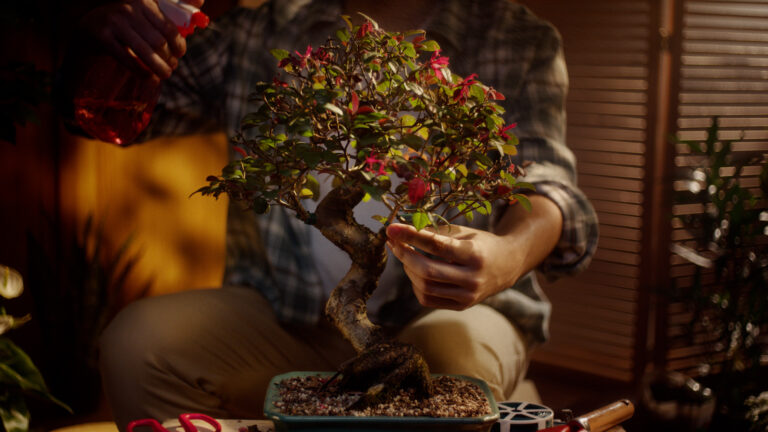 Bradesco e Grupo Dreamers lançam campanha para Lollapalooza