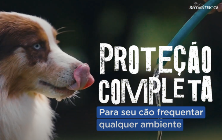 Boehringer Ingelheim lança campanha de vacinação canina