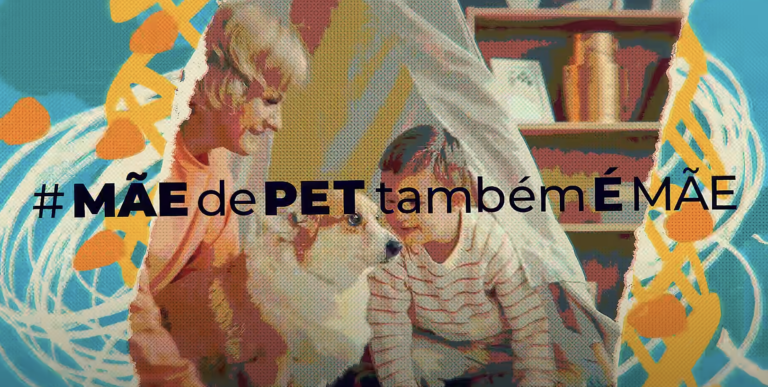 FestVídeo 2025 consagra Special Dog Company