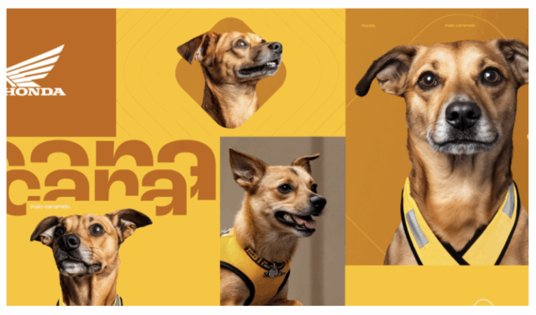 Honda Motos traz cachorros caramelos para Maio Amarelo