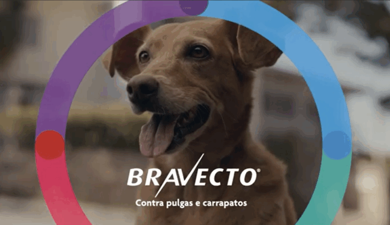 Bravecto entra no clima da estreia de novo live-action infantil