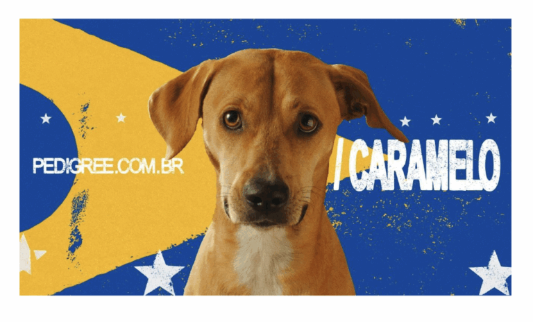 AlmapBBDO conquista Leão de Titanium em Cannes