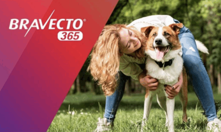 MSD Saúde Animal promove experiência no Parque Villa-Lobos