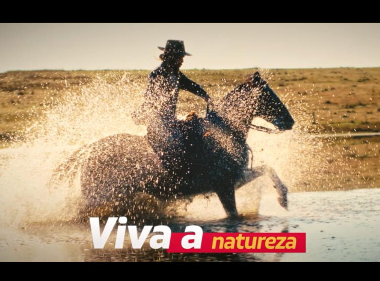 “Viva o Inverno Gaúcho” tem produção da Mythago